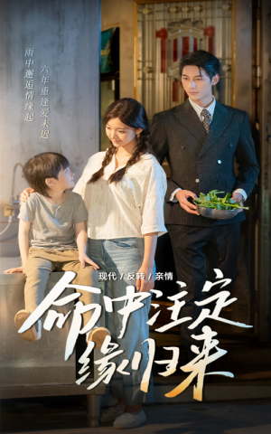 命中注定缘归来（63集）短剧全集投屏大屏看