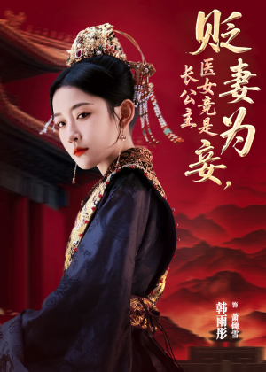 贬妻为妾医女竟是长公主（80集）全集短剧免费完整版在线观看
