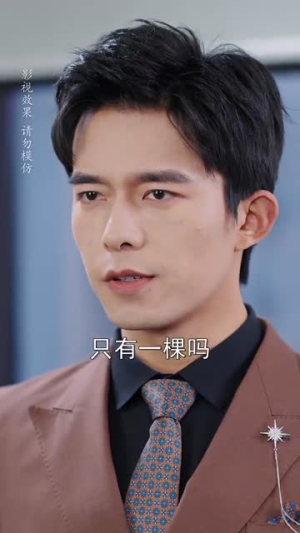 星河冉起（70集）精彩短剧天天看