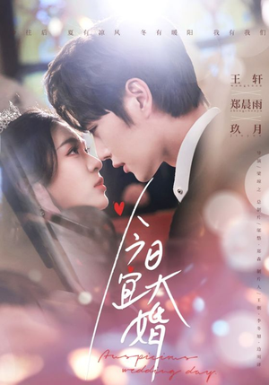 今日宜大婚（59集）热门短剧在线观看
