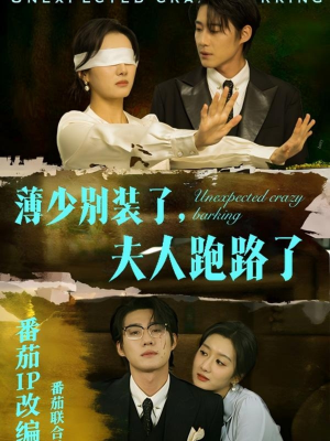 薄少别装了夫人跑路了（60集）无需注册短剧在线免费看