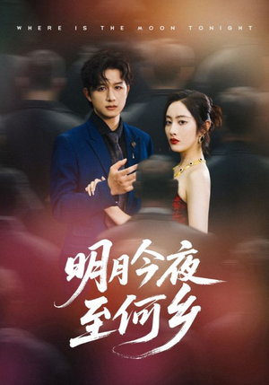明月今夜至何乡（70集）热门短剧抢先看