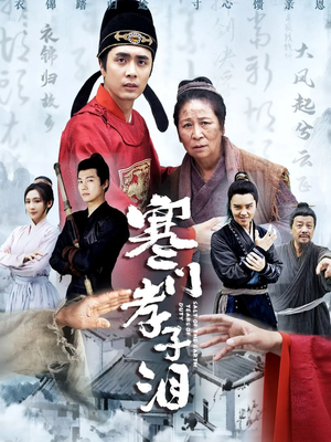 寒门孝子泪（31集）重生题材短剧全集免费的平台