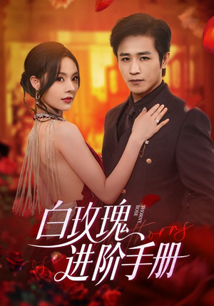 白玫瑰进阶手册（64集）热门短剧来袭精彩抢先看