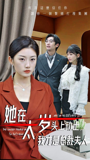 她在太岁头上动土，我才是总裁夫人（36集）追风的女孩短剧