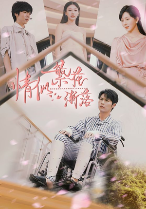 情似繁花渐落（62集）再也不用花钱看短剧了