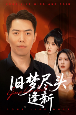 旧梦尽头逢新（46集）红果短剧app超部短剧免费看