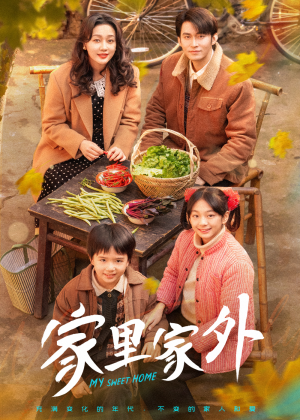 家里家外（79集）热门短剧追到爽