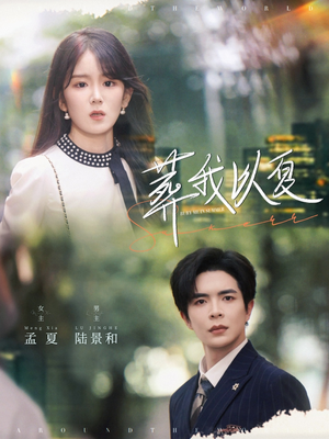葬我以夏（73集）热门短剧全集观看