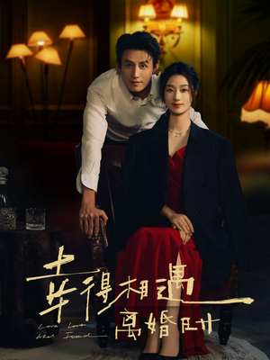 幸得相遇离婚时（81集）全网独播短剧免费看