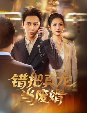 错把真龙当废婿（60集）重生短剧免费看全集资源