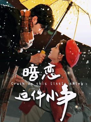 暗恋这件小事（100集）零花钱看整部短剧的优质平台