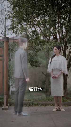 伤逝（36集）热门短剧免费看全集