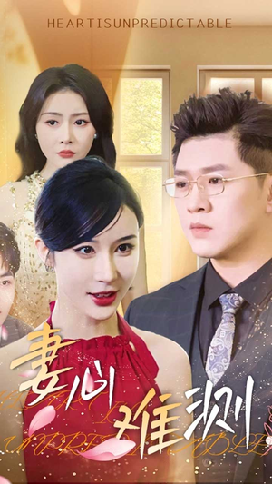 妻心难测（33集）红果免费短剧看后续