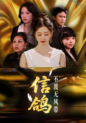 信鸽不渡无风带（65集）热门短剧推荐古装