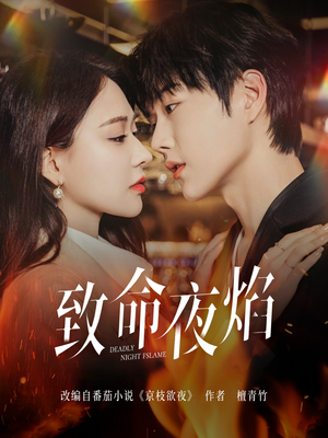 致命夜焰（80集）都市生活短剧免费在线观看