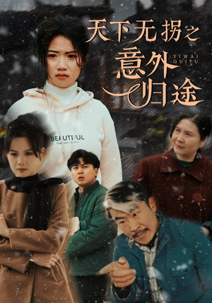 天下无拐之意外归途（61集）夸克网盘短剧在线看