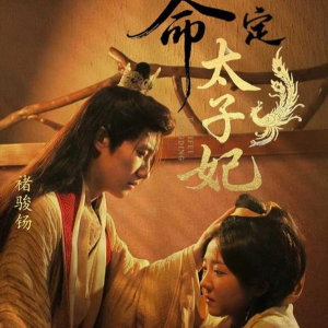 命定太子妃（63集）短剧越看越精彩