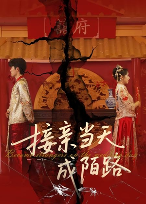 接亲当天成陌路（50集）在线观看短剧完整版