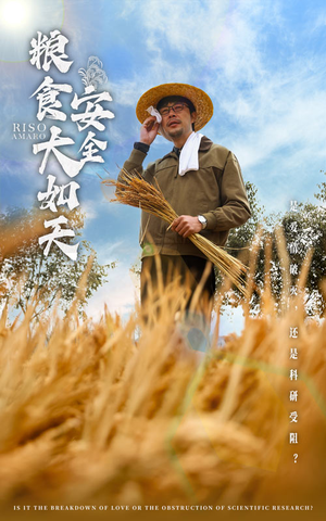 粮食安全大如天（43集） 千万短剧流量抢先看
