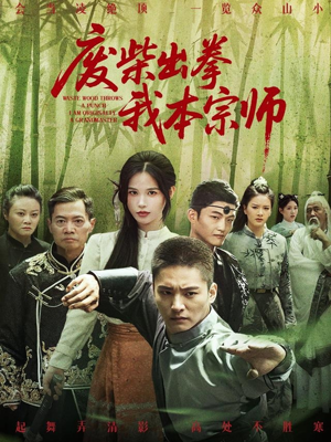 废柴出拳我本宗师（61集）火爆短剧来袭好看又上头的短