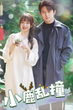 小鹿乱撞（40集）短剧全集无删完整版
