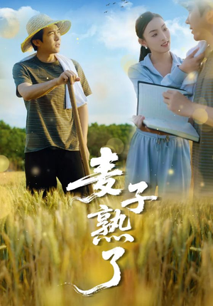 麦子熟了（52集）短剧合集蓝光画质