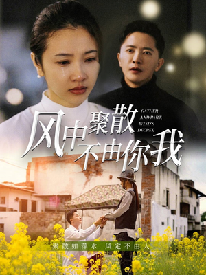 风中聚散不由你我（41集）短剧结局合集限免刷