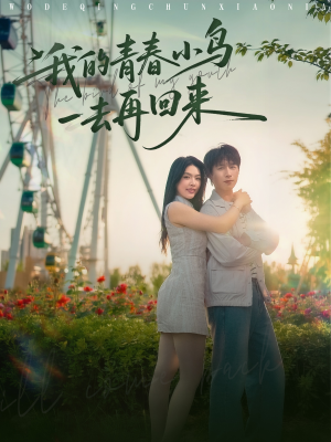 我的青春小鸟一去再回来（95集）排行榜前十的短剧