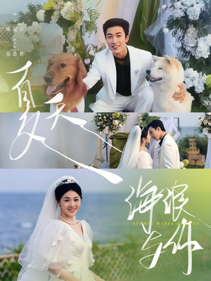 夏天，海浪与你（76集）短剧免费看大结局