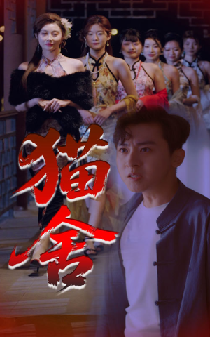 猫舍（34集）免费短剧全集看