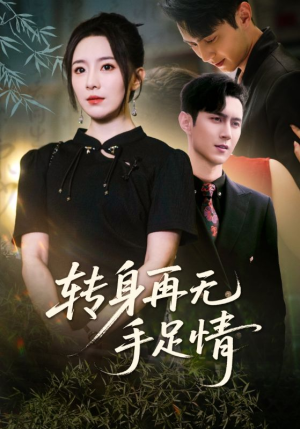 转身再无手足情（71集）全集免费看热门短剧推荐