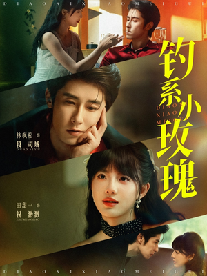 钓系小玫瑰（82集）超精彩热门短剧推荐