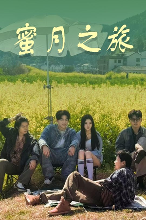 蜜月之旅（35集）抢先看热门短剧