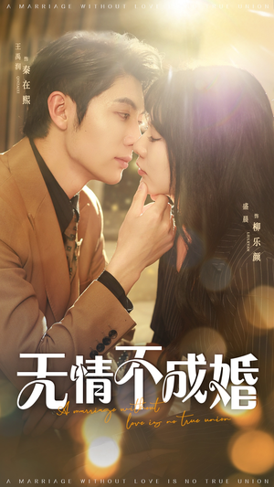 无情不成婚（70集）红果短剧全集免费看