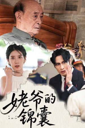 姥爷的锦囊（63集）短剧追到爽热播短剧