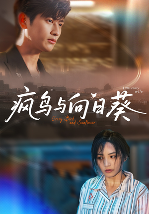 疯鸟与向日葵（40集）高分佳作短剧免费看