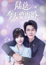 陆总今天要离婚（81集）精彩免费短剧观看全集