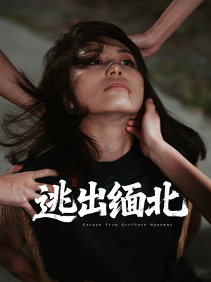 逃出缅北（62集）红果免费短剧免费看全集