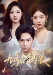 鸠占鹊巢（70集）全集短剧免费上线观看