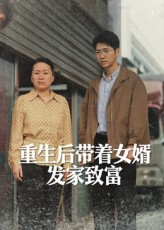 重生后带着女婿发家致富（41集）零花钱看整部短剧