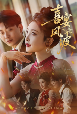 喜宴风波（30集）高清画质短剧免费看