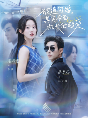 被迫闪婚其实冷面机长他超爱（77集）番茄小说免费看短剧