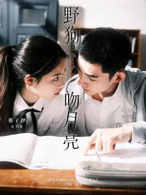野狗吻月亮（68集）都市短剧推荐免费观看