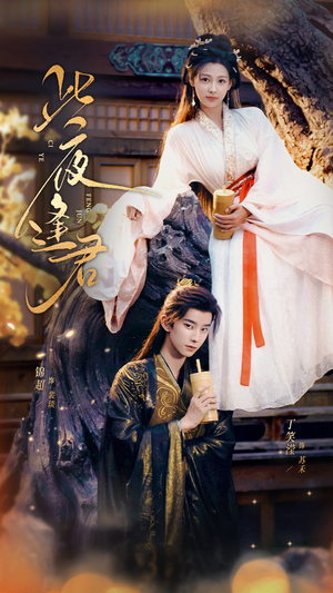 此夜逢君（76集）热门短剧免费观看