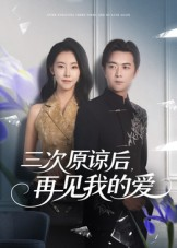 三次原谅后再见我的爱（80集）红果短剧免费看剧
