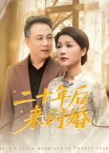 二十年后来闪婚（60集）看一段就想看完的短剧