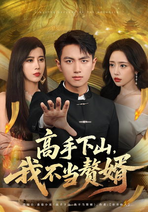 高手下山我不当赘婿（66集）终于可以免费观看短剧了