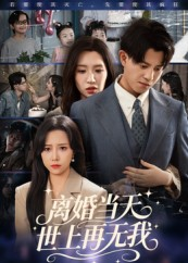 离婚当天世上再无我（60集）超级好看短剧推荐