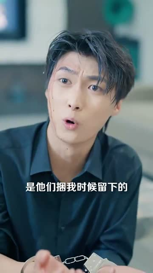 危险服务（34集）免费观看全集的短剧网站精选